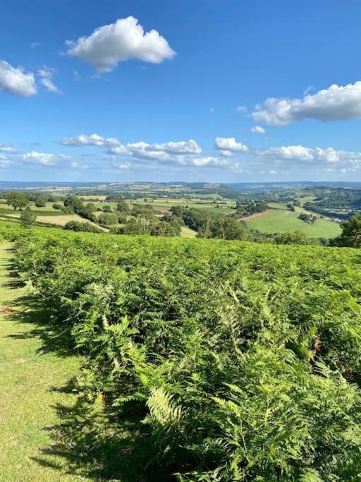 The Mill Stylish Rural Apartment With Beautiful Views Welsh Newton Common Esterno foto