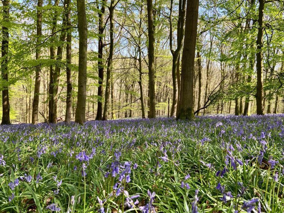 The Mill Stylish Rural Apartment With Beautiful Views Welsh Newton Common Esterno foto
