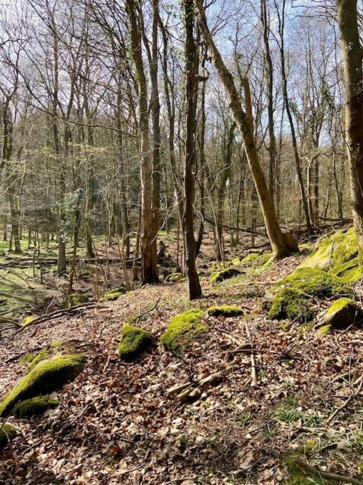 The Mill Stylish Rural Apartment With Beautiful Views Welsh Newton Common Esterno foto
