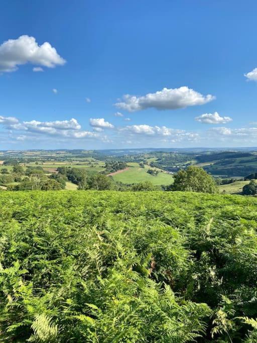 The Mill Stylish Rural Apartment With Beautiful Views Welsh Newton Common Esterno foto